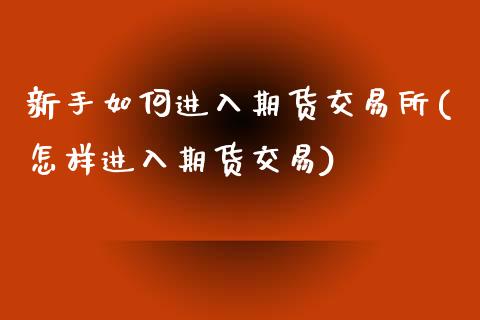 新手如何进入期货交易所(怎样进入期货交易)_https://www.zztgc.com_原油期货_第1张