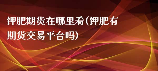 钾肥期货在哪里看(钾肥有期货交易平台吗)_https://www.zztgc.com_期货入门_第1张