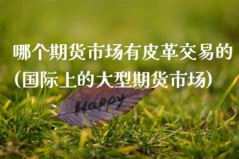哪个期货市场有皮革交易的(国际上的大型期货市场)_https://www.zztgc.com_期货入门_第1张