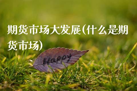 期货市场大发展(什么是期货市场)_https://www.zztgc.com_期货开户_第1张