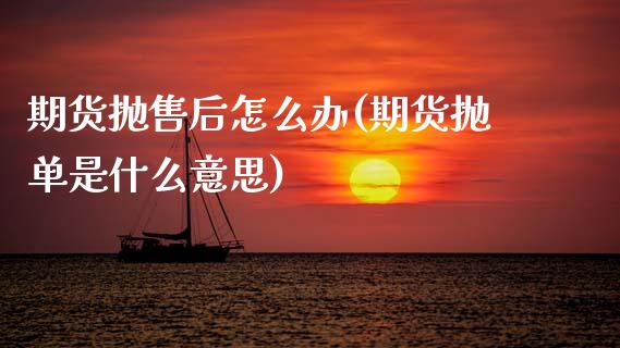 期货抛售后怎么办(期货抛单是什么意思)_https://www.zztgc.com_期货入门_第1张