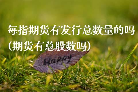 每指期货有发行总数量的吗(期货有总股数吗)_https://www.zztgc.com_期货行情_第1张