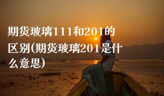 期货玻璃111和201的区别(期货玻璃201是什么意思)_https://www.zztgc.com_原油期货_第1张