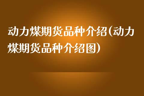 动力煤期货品种介绍(动力煤期货品种介绍图)_https://www.zztgc.com_期货直播_第1张