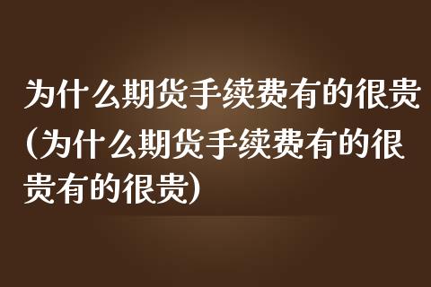 为什么期货手续费有的很贵(为什么期货手续费有的很贵有的很贵)_https://www.zztgc.com_黄金期货_第1张