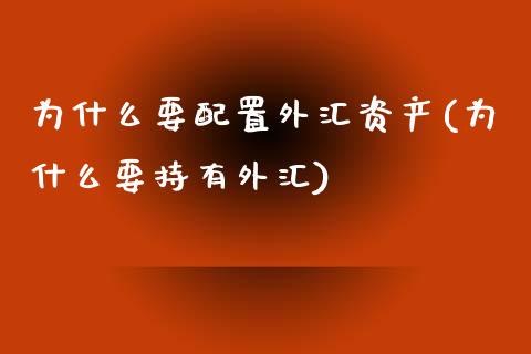 为什么要配置外汇资产(为什么要持有外汇)_https://www.zztgc.com_原油期货_第1张