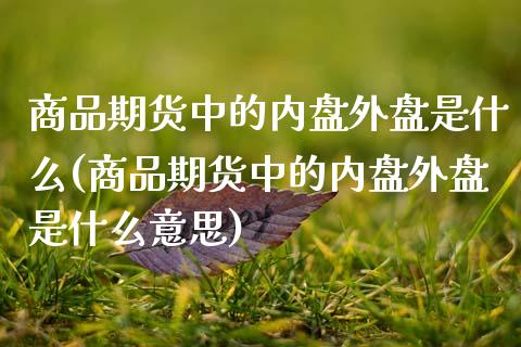 商品期货中的内盘外盘是什么(商品期货中的内盘外盘是什么意思)_https://www.zztgc.com_原油期货_第1张