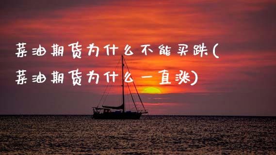 菜油期货为什么不能买跌(菜油期货为什么一直涨)_https://www.zztgc.com_原油期货_第1张