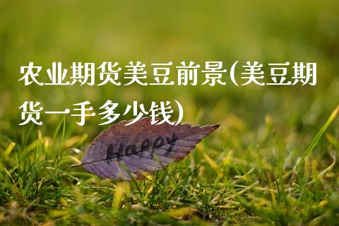 农业期货美豆前景(美豆期货一手多少钱)_https://www.zztgc.com_原油期货_第1张