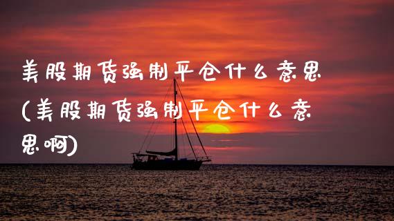 美股期货强制平仓什么意思(美股期货强制平仓什么意思啊)_https://www.zztgc.com_原油期货_第1张