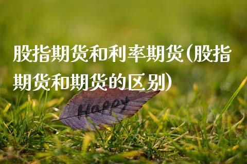 股指期货和利率期货(股指期货和期货的区别)_https://www.zztgc.com_原油期货_第1张