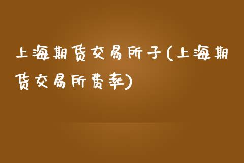上海期货交易所子(上海期货交易所费率)_https://www.zztgc.com_期货开户_第1张