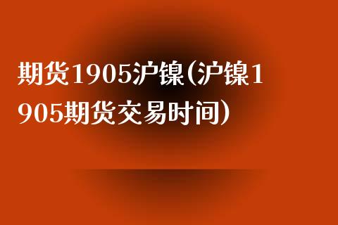 期货1905沪镍(沪镍1905期货交易时间)_https://www.zztgc.com_期货直播_第1张
