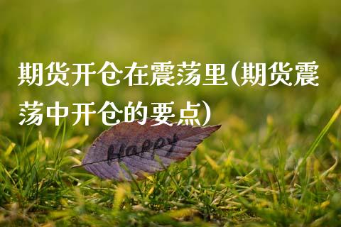 期货开仓在震荡里(期货震荡中开仓的要点)_https://www.zztgc.com_黄金期货_第1张