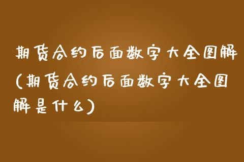 期货合约后面数字大全图解(期货合约后面数字大全图解是什么)_https://www.zztgc.com_黄金期货_第1张