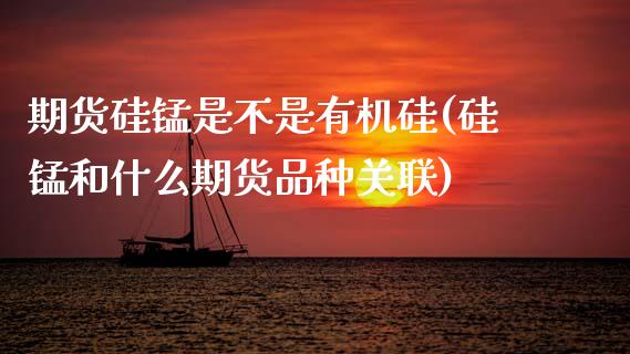 期货硅锰是不是有机硅(硅锰和什么期货品种关联)_https://www.zztgc.com_期货开户_第1张