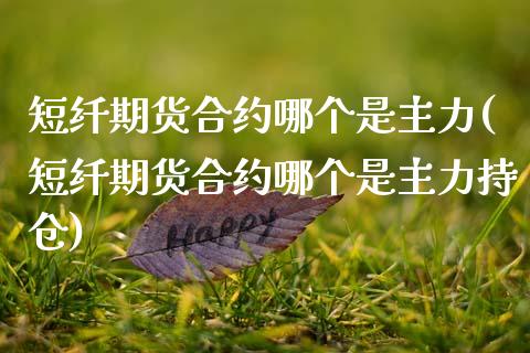 短纤期货合约哪个是主力(短纤期货合约哪个是主力持仓)_https://www.zztgc.com_黄金期货_第1张