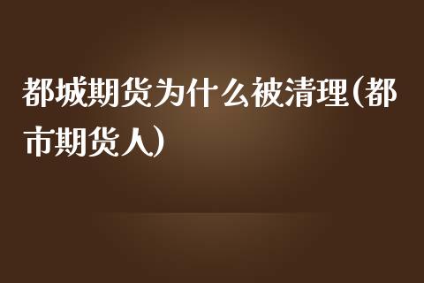 都城期货为什么被清理(都市期货人)_https://www.zztgc.com_期货直播_第1张