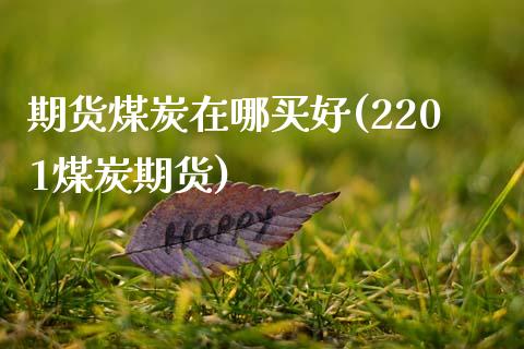 期货煤炭在哪买好(2201煤炭期货)_https://www.zztgc.com_原油期货_第1张