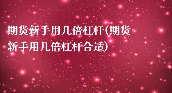 期货新手用几倍杠杆(期货新手用几倍杠杆合适)_https://www.zztgc.com_原油期货_第1张