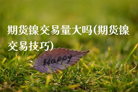 期货镍交易量大吗(期货镍交易技巧)_https://www.zztgc.com_期货入门_第1张