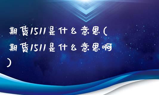 期货1511是什么意思(期货1511是什么意思啊)_https://www.zztgc.com_期货行情_第1张