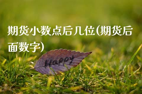 期货小数点后几位(期货后面数字)_https://www.zztgc.com_黄金期货_第1张