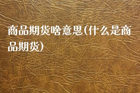 商品期货啥意思(什么是商品期货)_https://www.zztgc.com_黄金期货_第1张