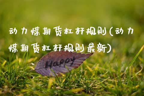 动力煤期货杠杆规则(动力煤期货杠杆规则最新)_https://www.zztgc.com_黄金期货_第1张