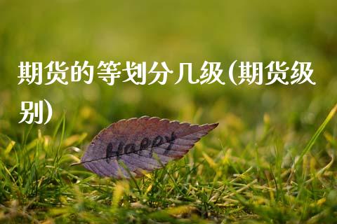 期货的等划分几级(期货级别)_https://www.zztgc.com_期货直播_第1张