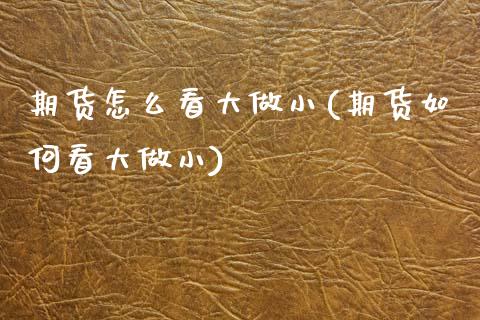 期货怎么看大做小(期货如何看大做小)_https://www.zztgc.com_期货行情_第1张