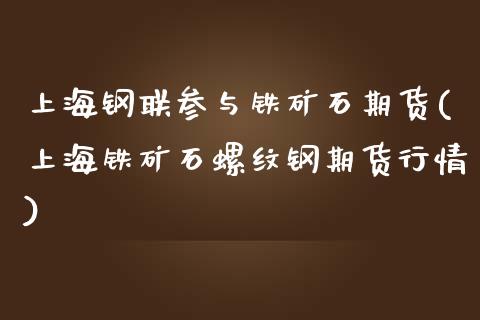 上海钢联参与铁矿石期货(上海铁矿石螺纹钢期货行情)_https://www.zztgc.com_期货入门_第1张