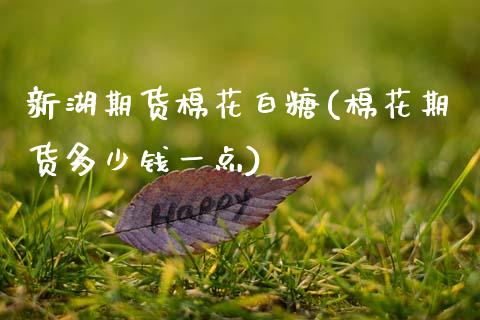 新湖期货棉花白糖(棉花期货多少钱一点)_https://www.zztgc.com_期货行情_第1张