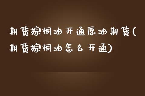 期货棕榈油开通原油期货(期货棕榈油怎么开通)_https://www.zztgc.com_期货行情_第1张