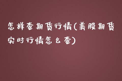 怎样查期货行情(美股期货实时行情怎么查)_https://www.zztgc.com_原油期货_第1张