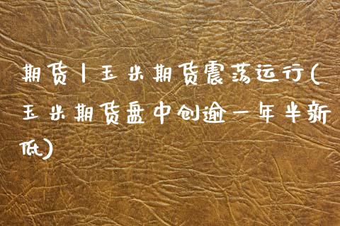 期货丨玉米期货震荡运行(玉米期货盘中创逾一年半新低)_https://www.zztgc.com_期货入门_第1张