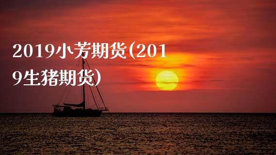 2019小芳期货(2019生猪期货)_https://www.zztgc.com_期货入门_第1张