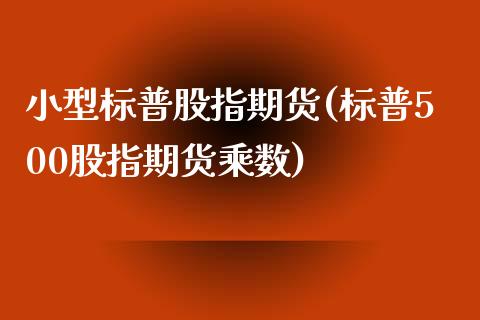 小型标普股指期货(标普500股指期货乘数)_https://www.zztgc.com_原油期货_第1张