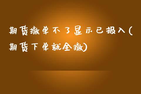 期货撤单不了显示已报入(期货下单就全撤)_https://www.zztgc.com_期货入门_第1张