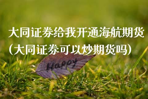 大同证券给我开通海航期货(大同证券可以炒期货吗)_https://www.zztgc.com_期货入门_第1张