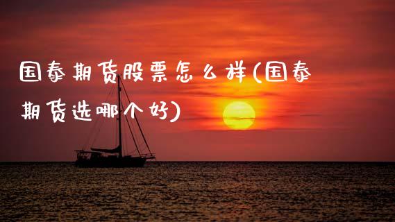 国泰期货股票怎么样(国泰期货选哪个好)_https://www.zztgc.com_期货行情_第1张