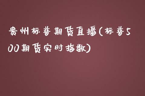 贵州标普期货直播(标普500期货实时指数)_https://www.zztgc.com_期货入门_第1张