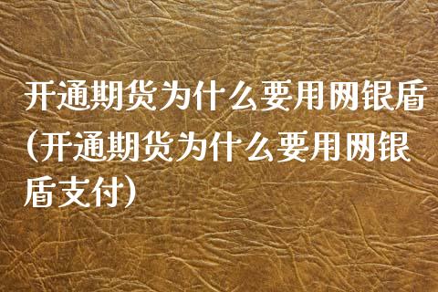 开通期货为什么要用网银盾(开通期货为什么要用网银盾支付)_https://www.zztgc.com_期货行情_第1张