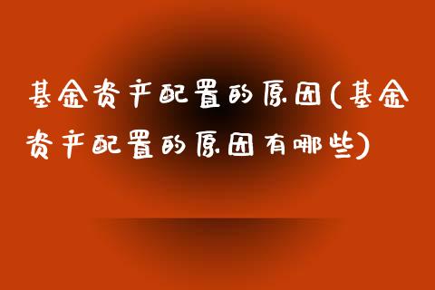 基金资产配置的原因(基金资产配置的原因有哪些)_https://www.zztgc.com_原油期货_第1张