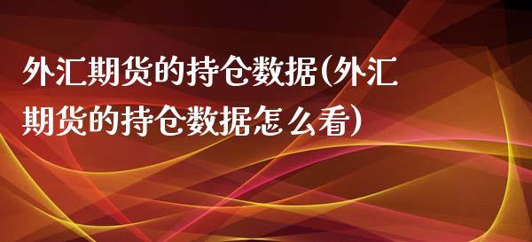 外汇期货的持仓数据(外汇期货的持仓数据怎么看)_https://www.zztgc.com_期货行情_第1张