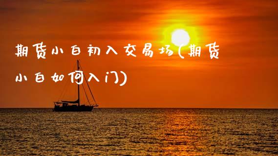 期货小白初入交易场(期货小白如何入门)_https://www.zztgc.com_期货行情_第1张