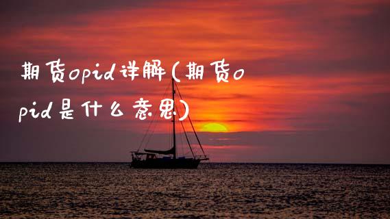 期货opid详解(期货opid是什么意思)_https://www.zztgc.com_期货行情_第1张