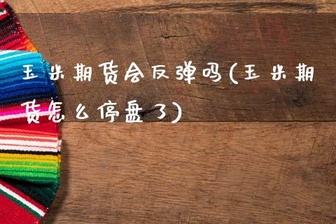 玉米期货会反弹吗(玉米期货怎么停盘了)_https://www.zztgc.com_期货入门_第1张
