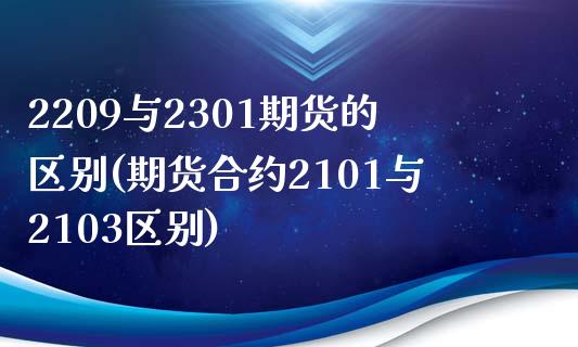 2209与2301期货的区别(期货合约2101与2103区别)_https://www.zztgc.com_期货入门_第1张