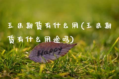 玉米期货有什么用(玉米期货有什么用途吗)_https://www.zztgc.com_期货行情_第1张
